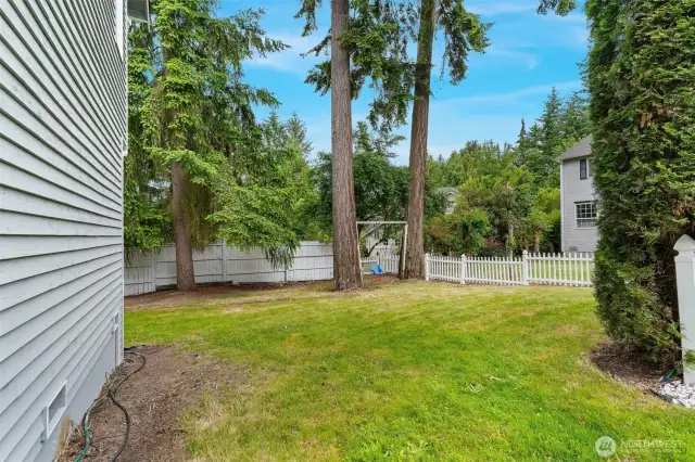 Plenty of room for outdoor activities in the large yard.