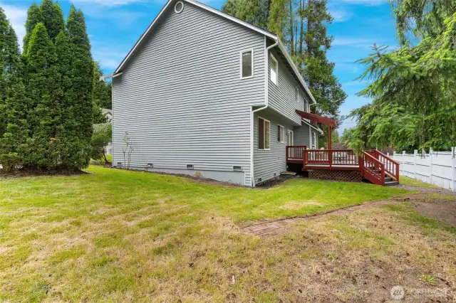 Side and back yard.