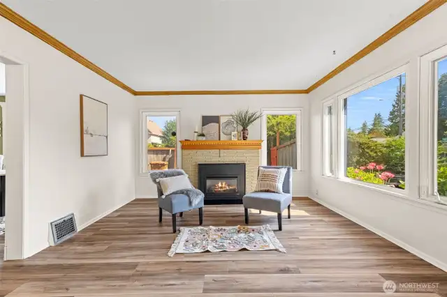 Living room and fireplace