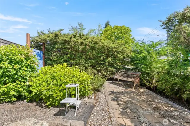 Front yard