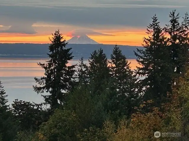 View of Mt Rainier