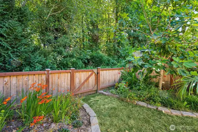 A mature fig tree, colorful flowers and completely fenced yard. The yard backs to a wooded 16 acre equestrian property.