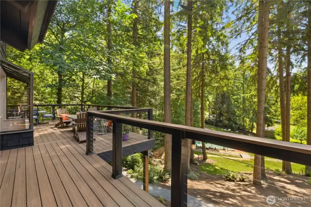 Entertainment Sized Trex Deck.