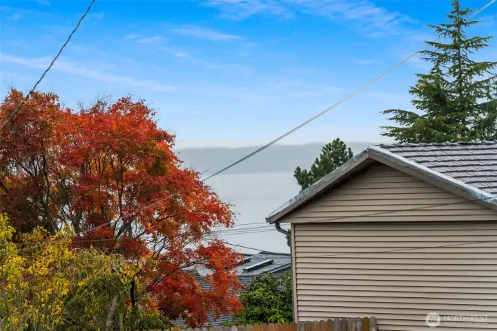 Views of Puget Sound and the Olympic Mountains.