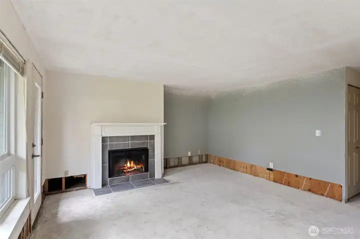 Wood burning fire place