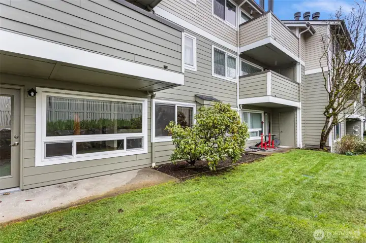 Yard off family room