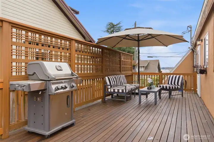 The private back deck built of ipe wood, gas grill stays.