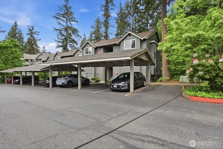 1 Covered Carport included