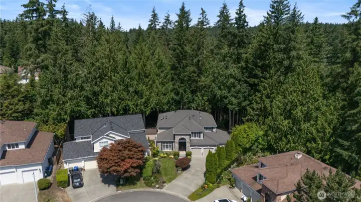 From above, the home's exceptional setting truly shines—nestled on a peaceful cul-de-sac and bordered by a lush canopy of mature evergreens, creating a private, park-like sanctuary in the heart of the neighborhood. From above, the home's exceptional setting truly shines—nestled on a peaceful cul-de-sac and bordered by a lush canopy of mature evergreens, creating a private, park-like sanctuary in the heart of the neighborhood.