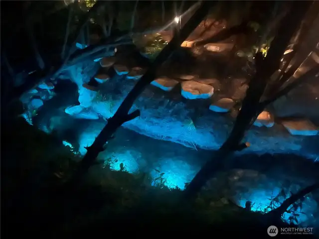 Creek Night Lights