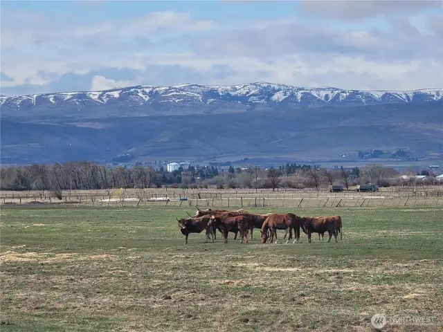 Manastash Ridge