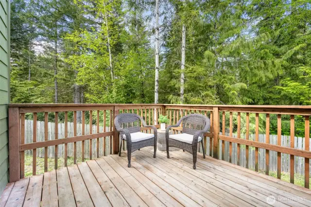 Back deck