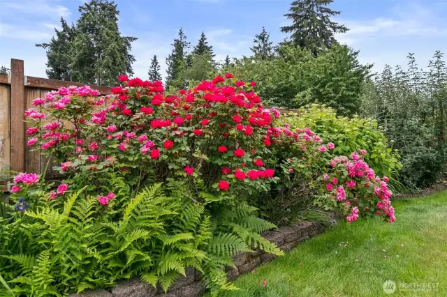 Gorgeous PNW Landscape Frames the Yard!