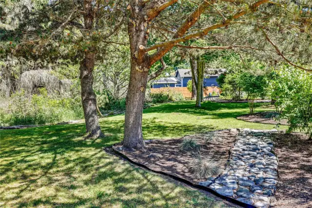 Shade trees provide a great place to relax and cool off.