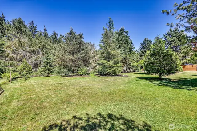 Grassy area of the parcel.