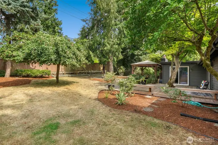 Expansive lot, 1/4 acre.