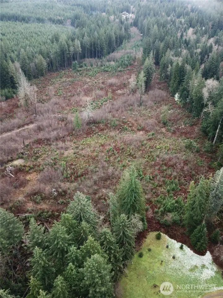 Wildlife, away from town but not too far.