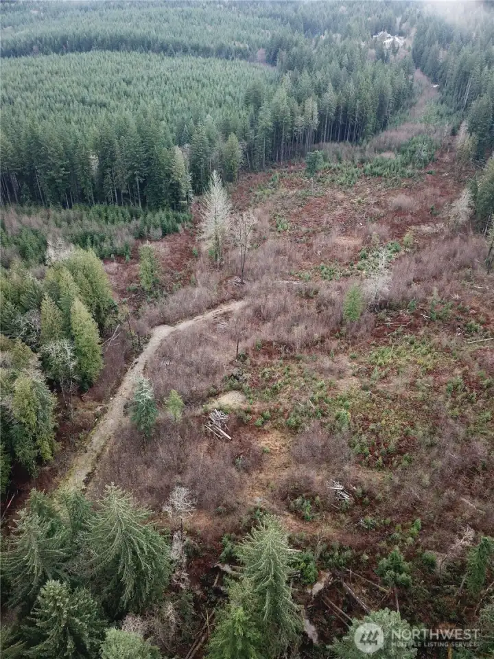 2 lots on Taylor Mountain - secluded, private, residential building lots