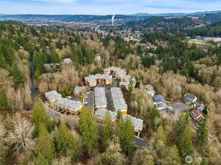 Very private location nestled amongst the trees, but within walking distance of downtown Issaquah and numerous parks.