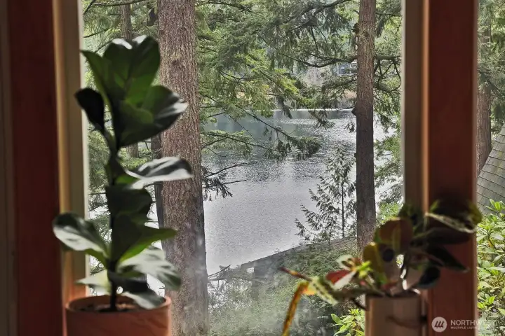 Main Home. View out the window.