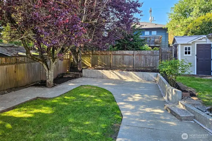 Back Yard and Patio