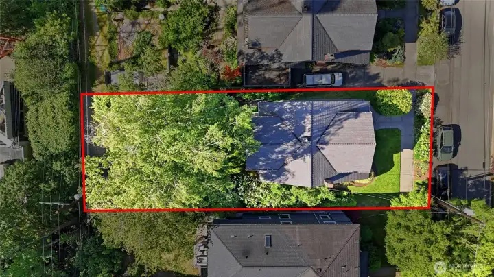 Spacious, 5,400 square foot lot