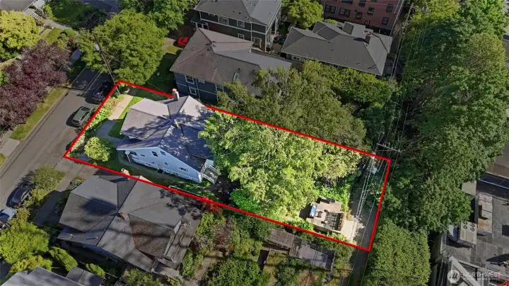 Notice the outdoor spaces and the privacy of the beautiful tree and landscaping