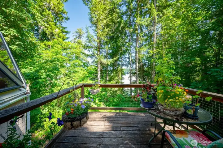 Take a look at the Totten Inlet and enjoy the views among the trees. Take a look at the Totten Inlet and enjoy the views among the trees.