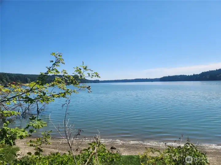 Take the trail behind the home to the -/+318 feet of low bank waterfront! Harvest your own oysters and clams in your backyard. Take the trail behind the home to the -/+318 feet of low bank waterfront! Harvest your own oysters and clams in your backyard.