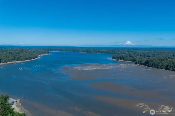 Stunning views of Mt Rainier! Stunning views of Mt Rainier!