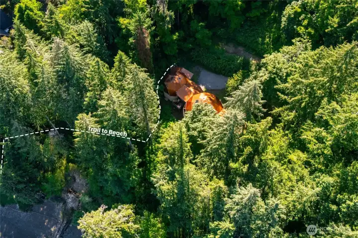 Nestled among the trees it is a wildlife paradise! Nestled among the trees it is a wildlife paradise!