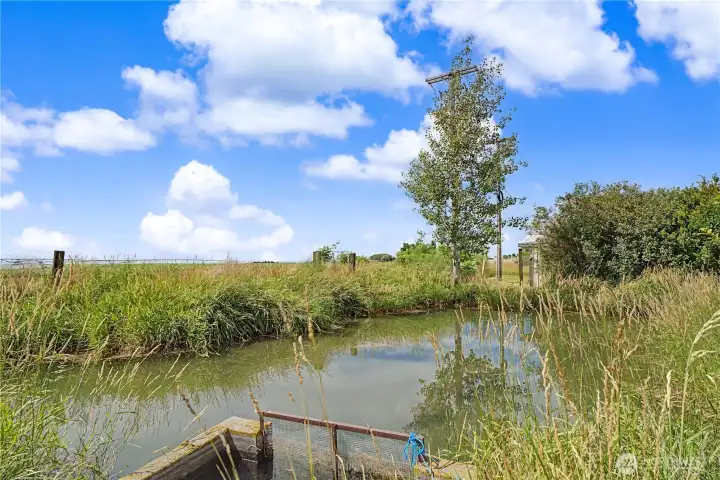 Irrigation pond Irrigation pond