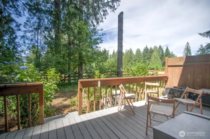 private deck with trex decking