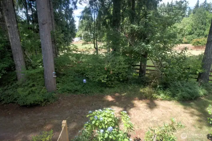 view from deck