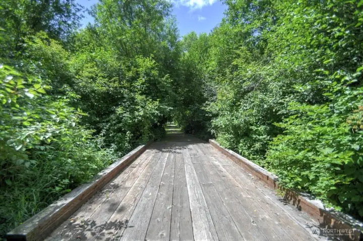 on the way to the lake trail