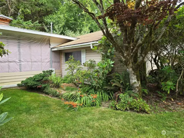 Back Yard Garage View