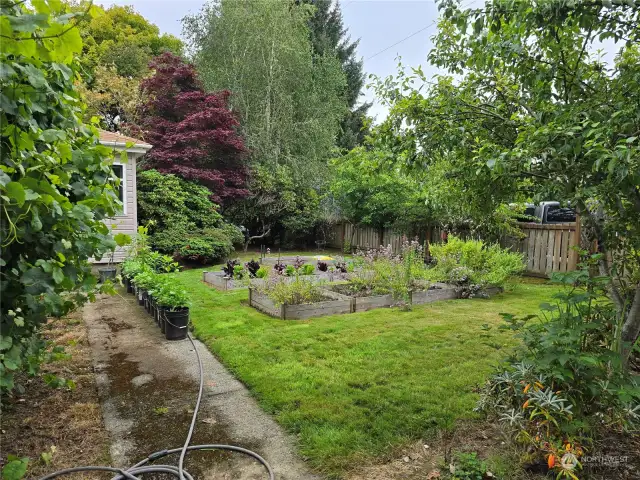 Front Yard and Garden