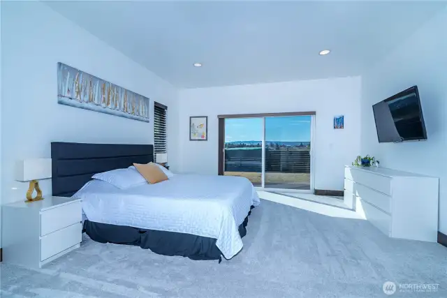 Spacious primary suite with a sliding door leading to the deck and back yard.