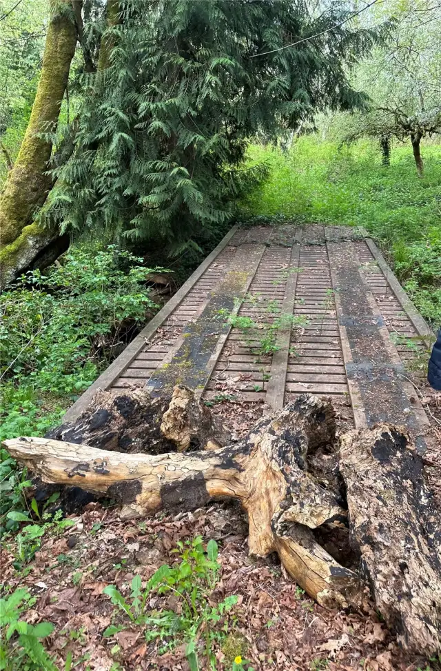 Bridge over the creek.
