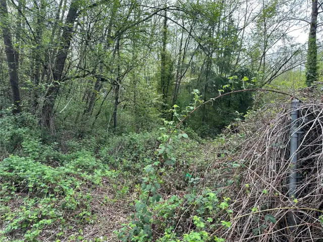 Fence is the property line on the highway side of the property.  This is right on Anderson Hill Rd.