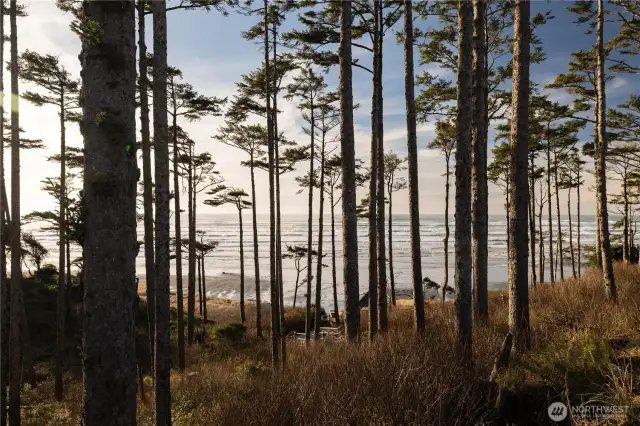 Beach Access