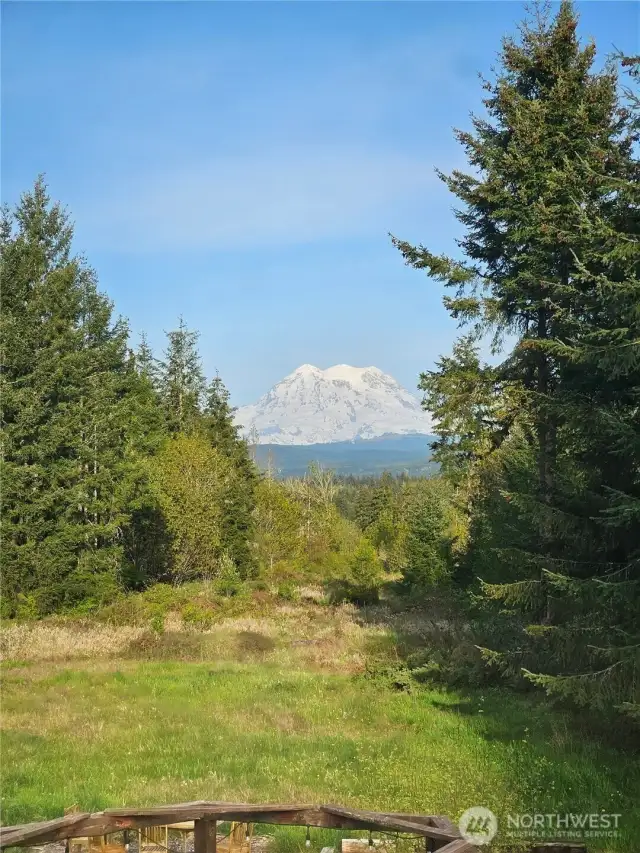 View from 2nd bedroom