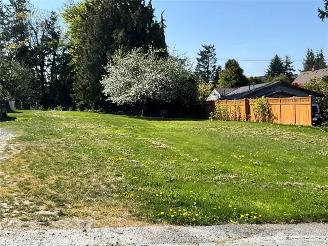 Lot Pic 2