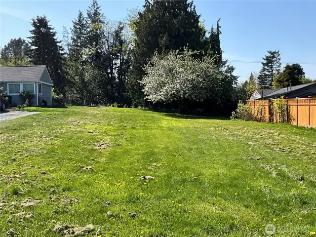 Lot Pic 5