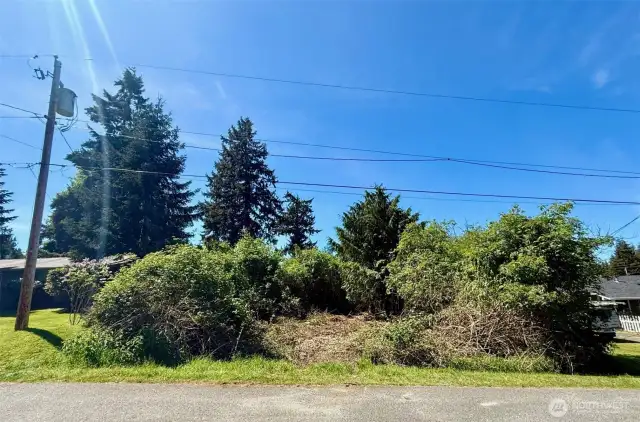 Looking West