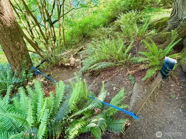 Photo not taken from property.  Community Trail down to the beach