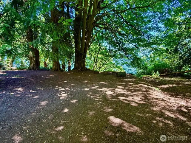 Photo not taken from property.  Community trail to beach.