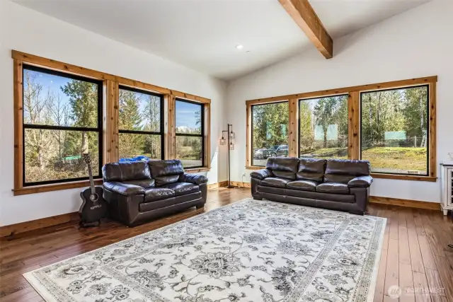 Views of Mt Rainier from the living room