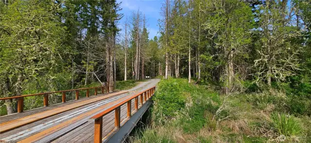Your Very own Bridge