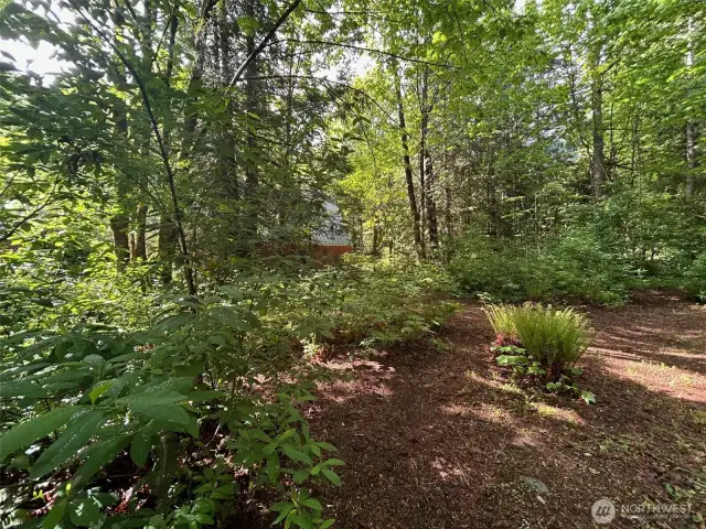 Another view of the vacant lot